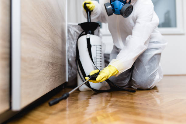 Flea Control Services in Graham, TX