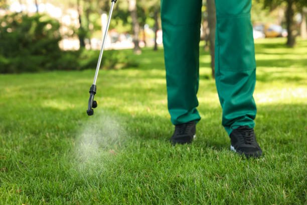 Best Best Pest Control Companies  in Graham, TX