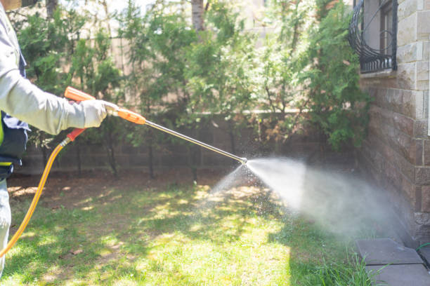 Best Pest Inspection Near Me  in Graham, TX