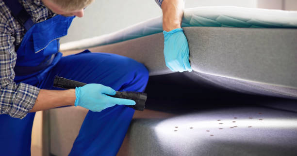 Pest Control for Restaurants in Graham, TX