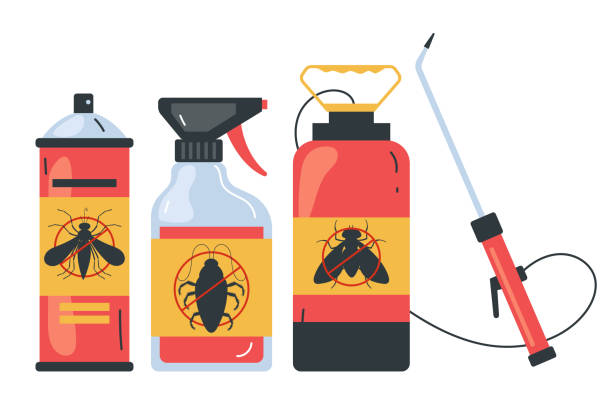 Best Flea Control Services  in Graham, TX
