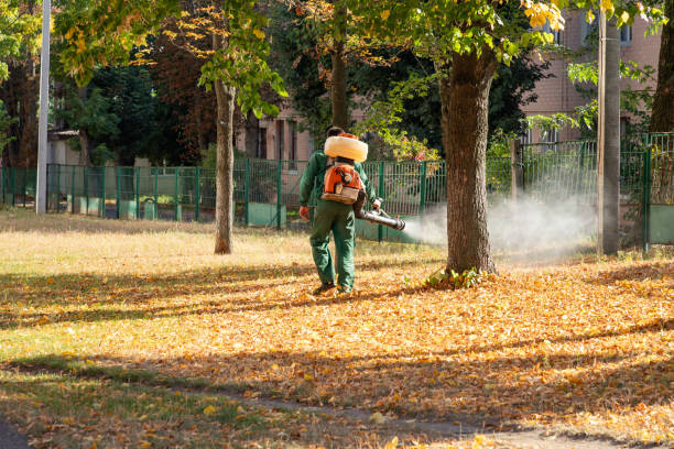Best Pest Control for Restaurants  in Graham, TX