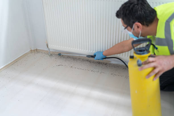 Best Commercial Pest Control Services  in Graham, TX