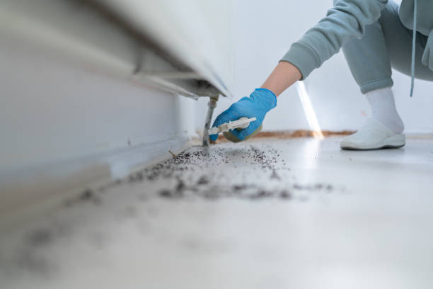 Best Cockroach Control Services  in Graham, TX