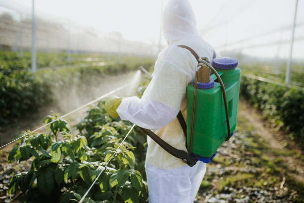 Professional Pest Control in Graham, TX